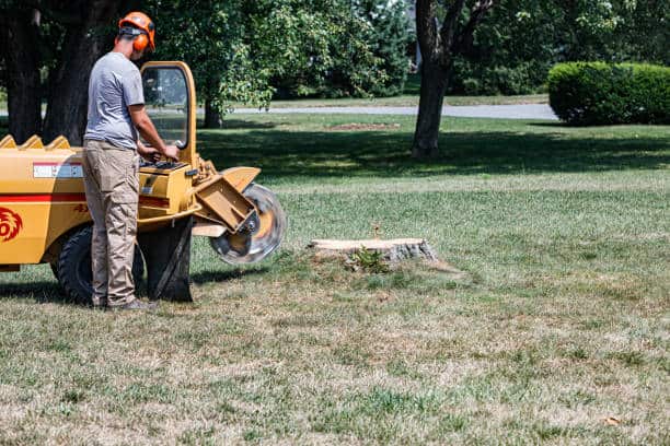 Land clearing and commercial tree care